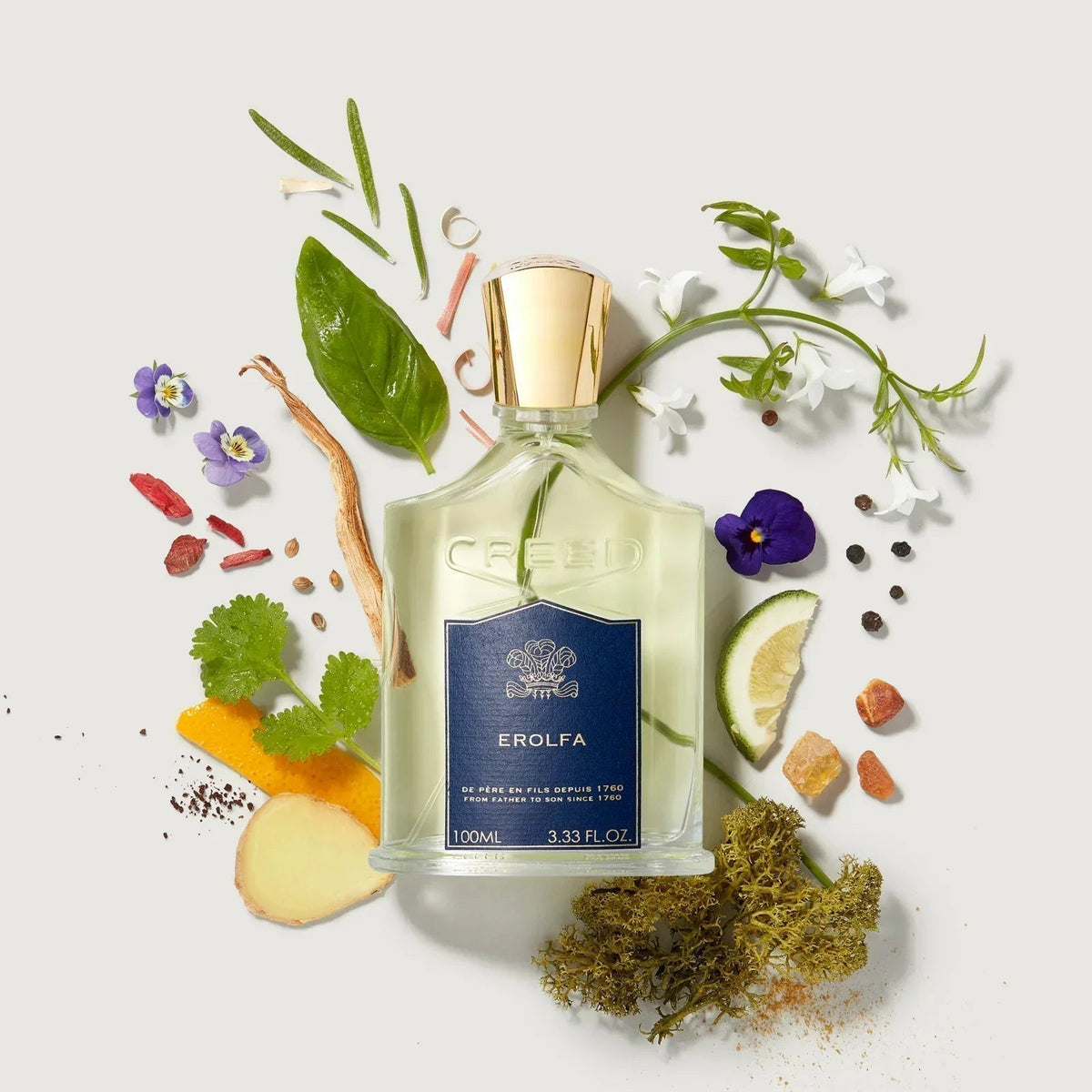 Creed Erolfa – view 2